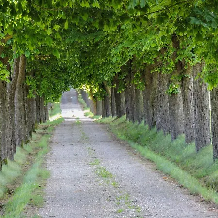 Locazione Turistica Antica Dimora Il Granaio - Ast145 Asti